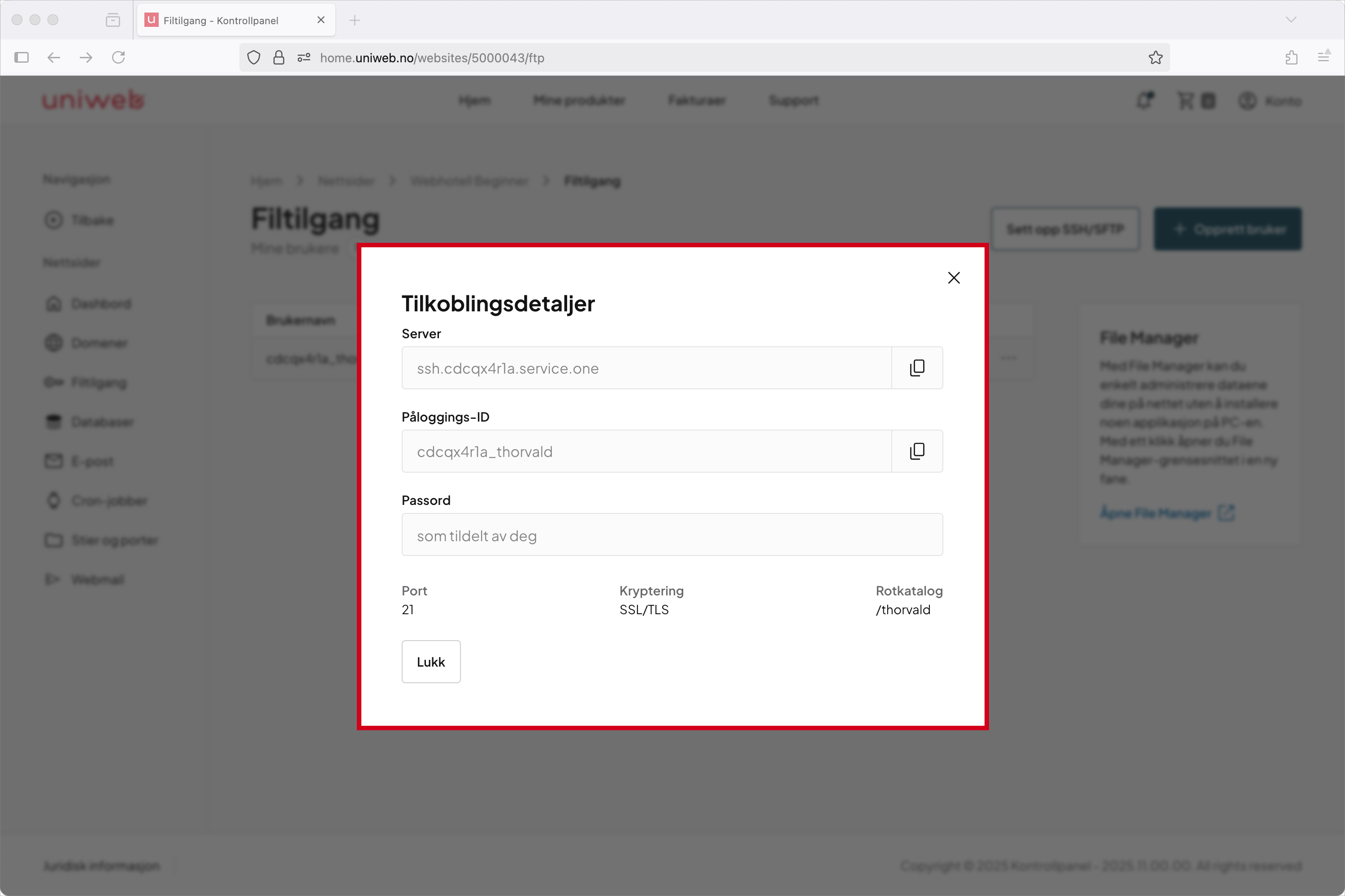 viseFTPdetaljer.png