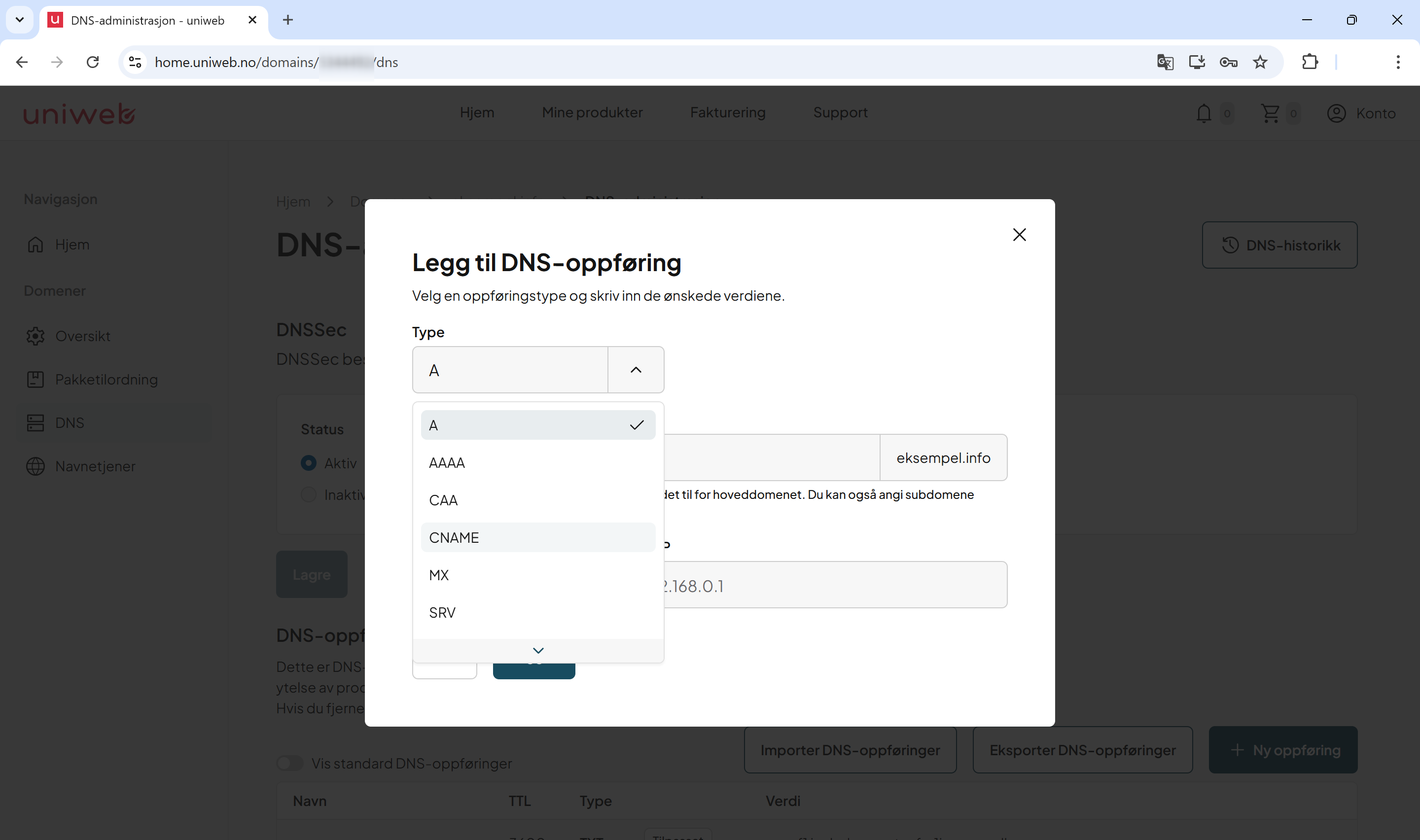 dns-oppføringer uniweb 5.png