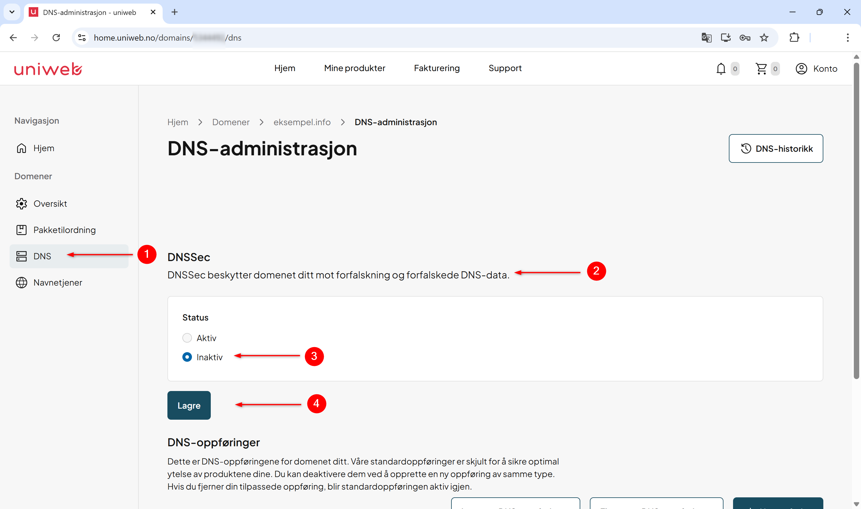 Dnssec - uniweb - 1.png