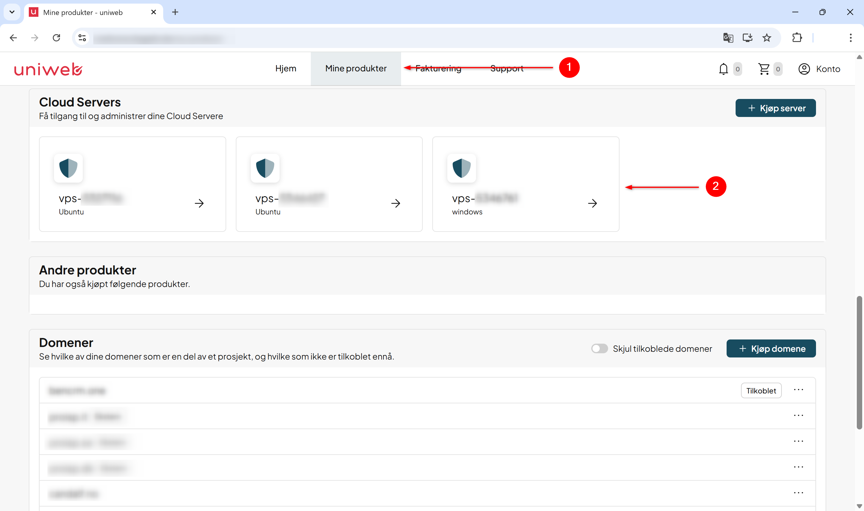 Slik setter du rootpassord for vps - uniweb - 1.png