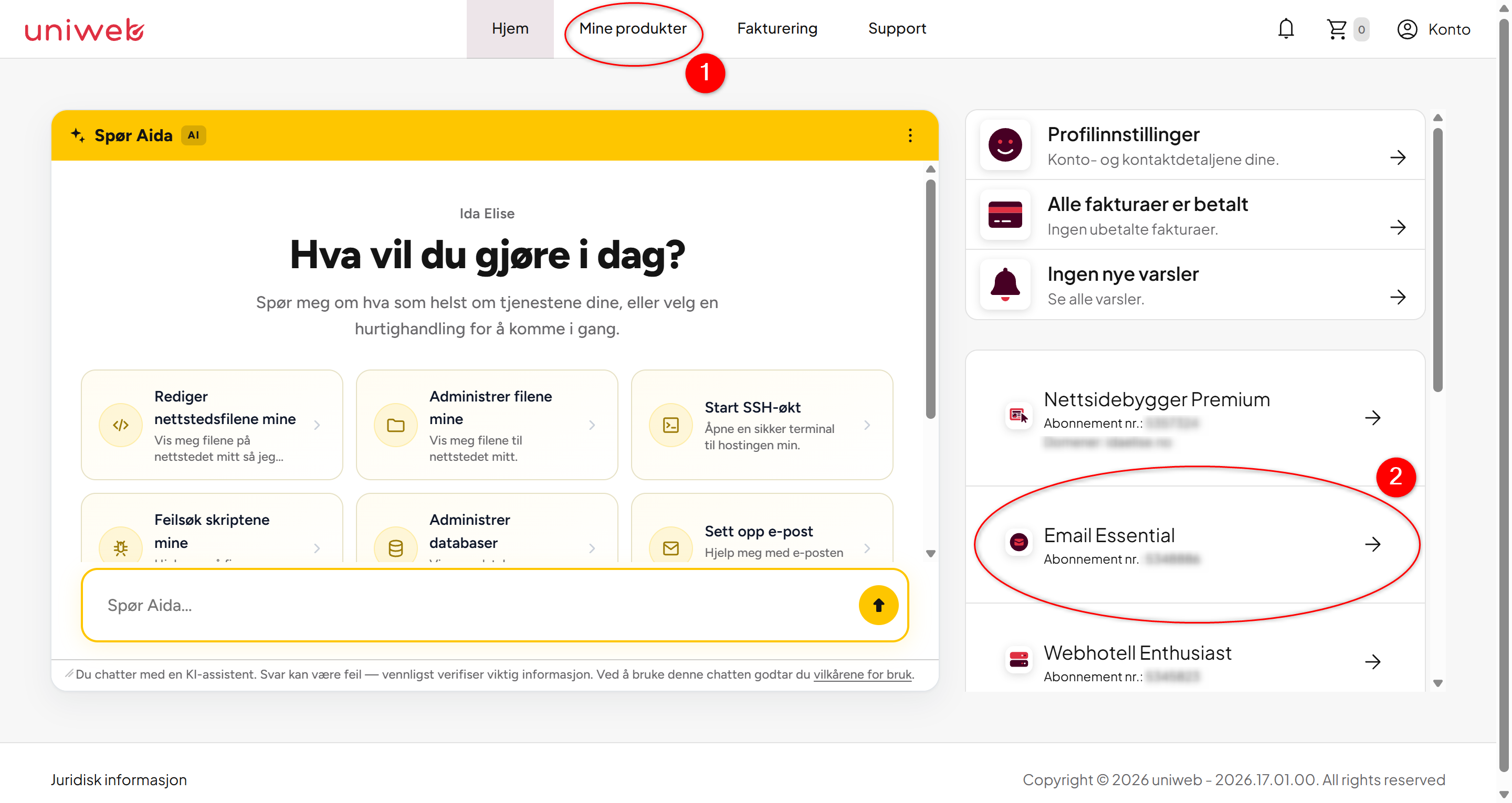 Opprette fraværsmail - steg 1 - logg inn i kontrollpanelet og finn e-postpakken din.png